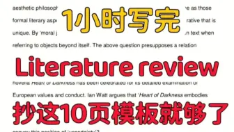 专治不会写literature review一小时写完