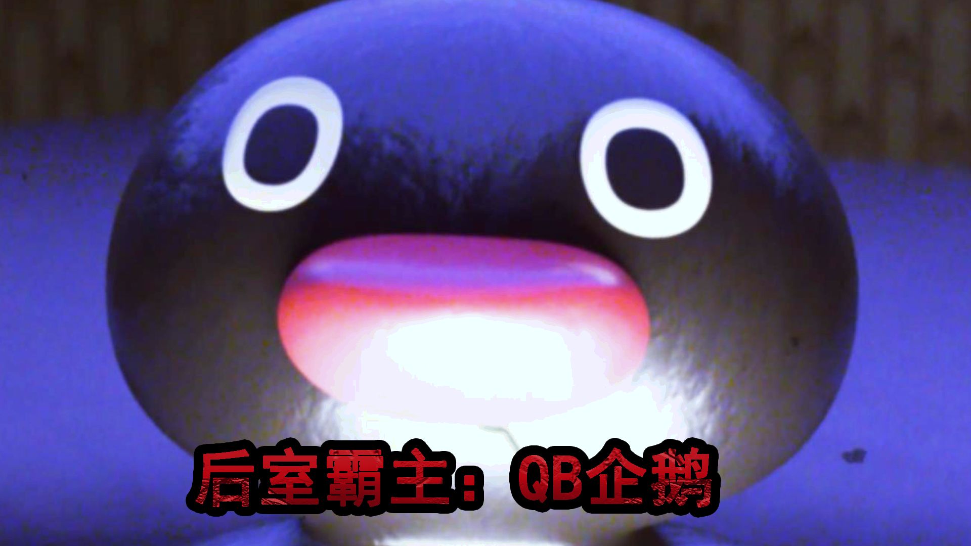后室最可爱的企鹅,q币企鹅