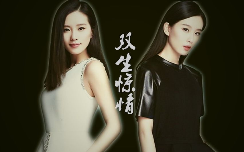 【刘诗诗/双胞胎/伪微电影】双生惊情
