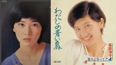 わたしの青い鳥-哔哩哔哩_Bilibili