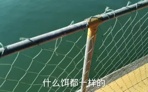 Скачать видео: 海钓用什么饵比较好？