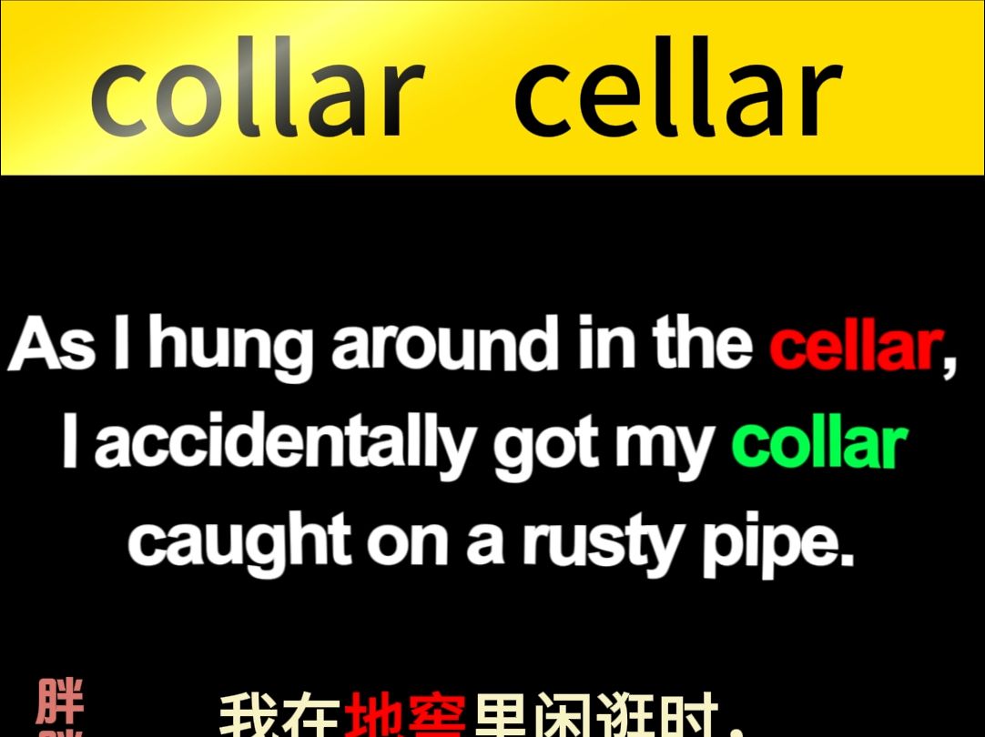 collar和cellar的区别collar领子cellar地窖哔哩哔哩bilibili