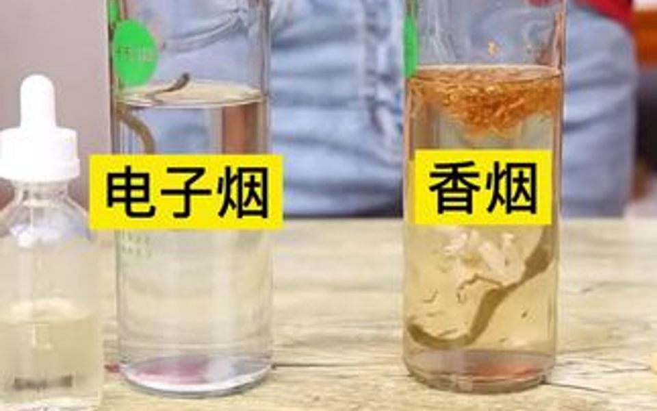 [图]用两只蚂蝗告诉你，香烟和电子烟哪个危害更大