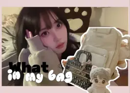 Download Video: What's in my bag｜线下追星翻包+追星好物大分享