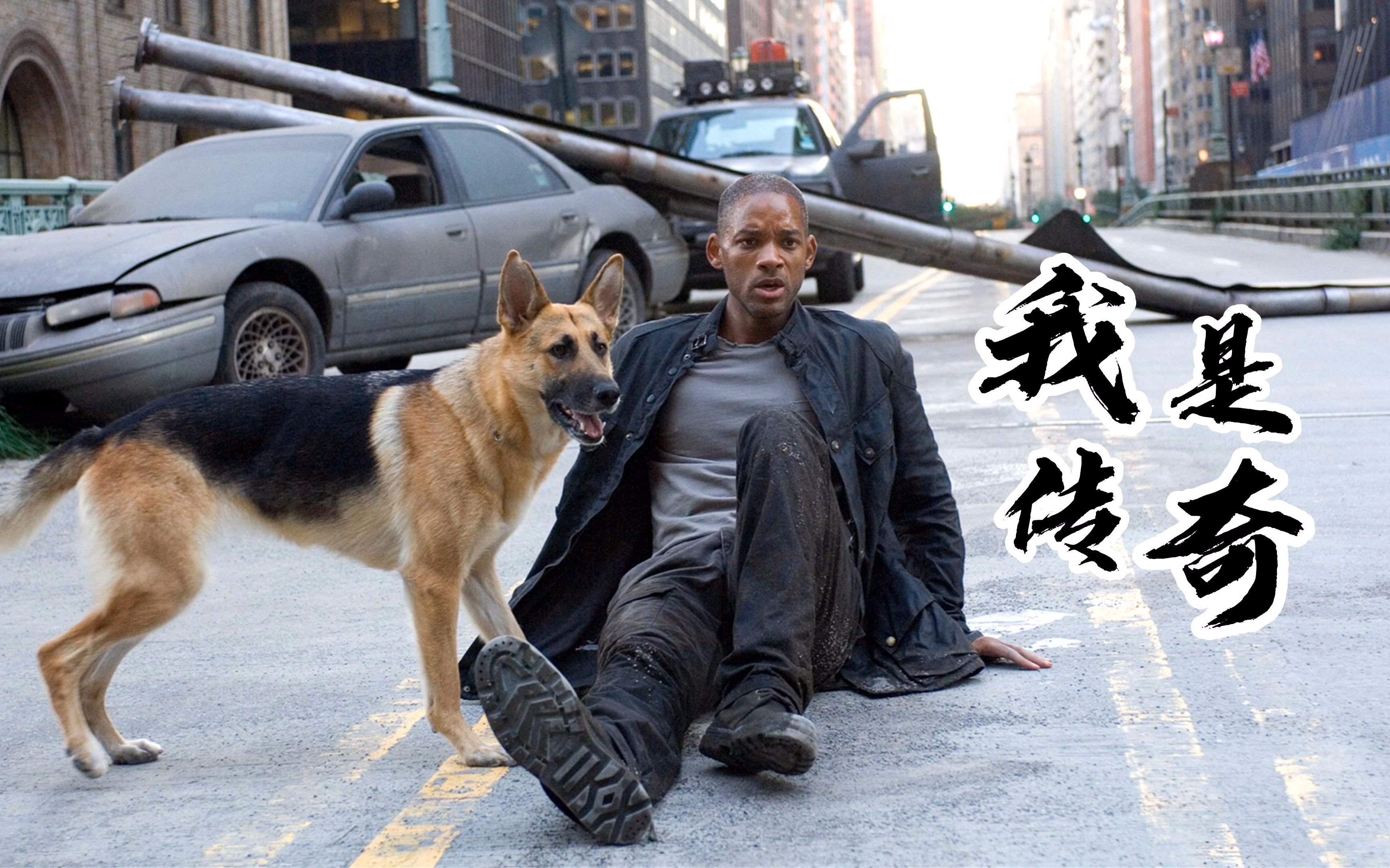 我是传奇:早期男主最先确定的是施瓦辛格,拍摄过程中威尔史密斯曾离奇