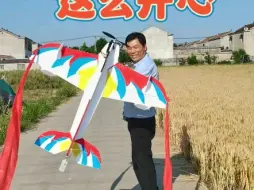 Download Video: 手工制作这款飞机好玩空中芭蕾，