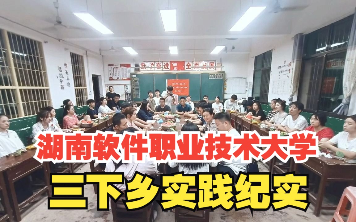 湖南软件职业技术大学暑期“三下乡”社会实践团队纪实哔哩哔哩bilibili