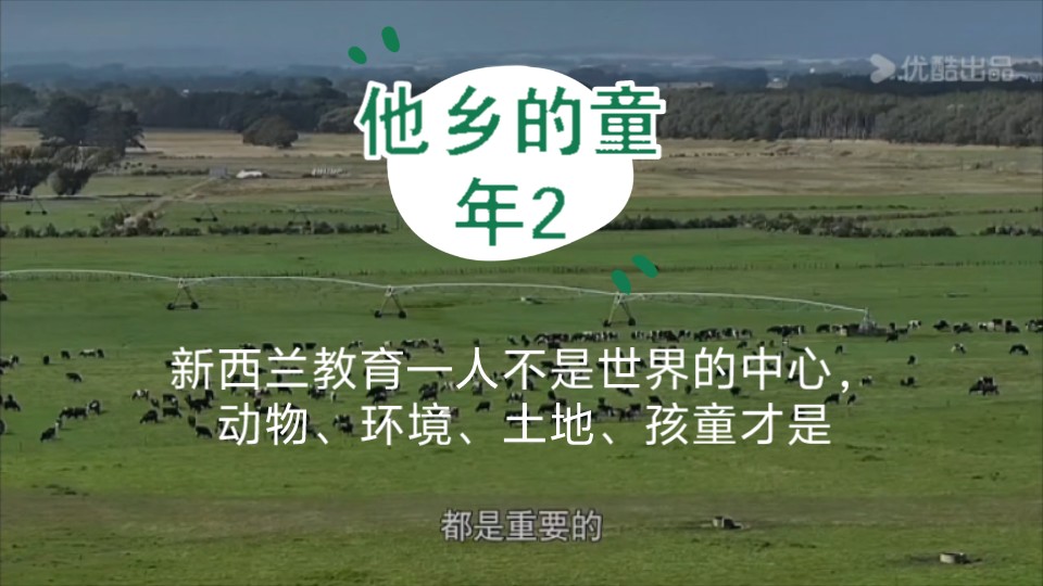 他乡的童年2 新西兰教育—人不是世界的中心,动物、环境、土地、孩童才是哔哩哔哩bilibili