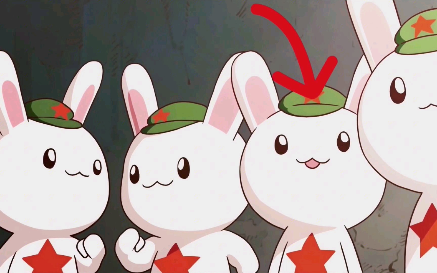 那年那兔:这只腹黑的兔子,也有可爱的一面