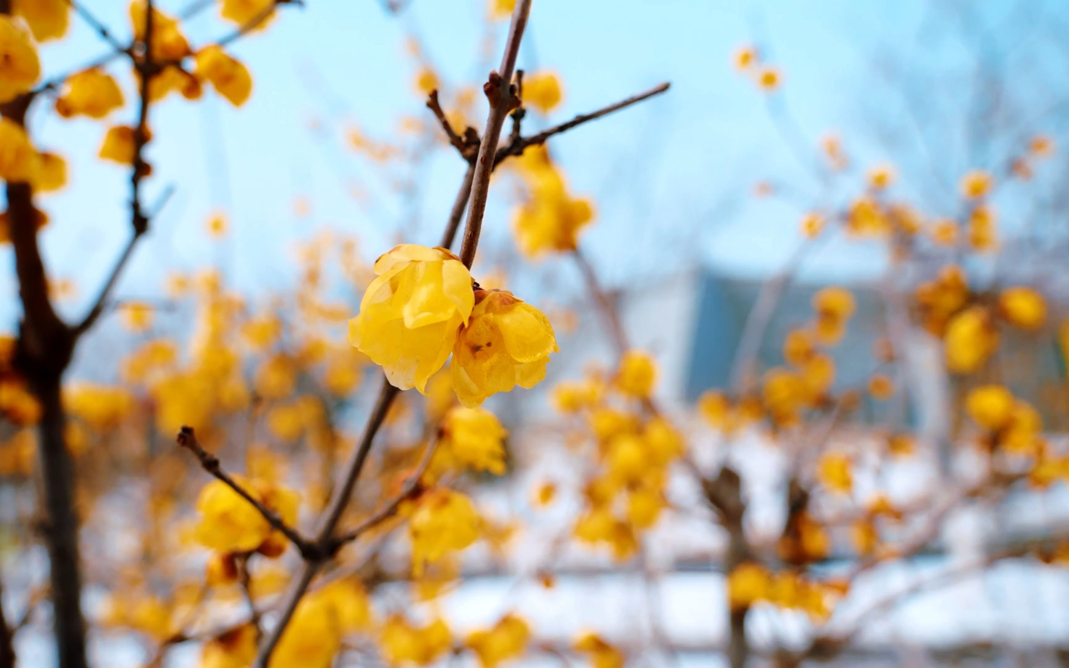 [图]《无名之辈》陈雪燃 谁的光荣不是伴着眼泪 也许很累一身狼狈