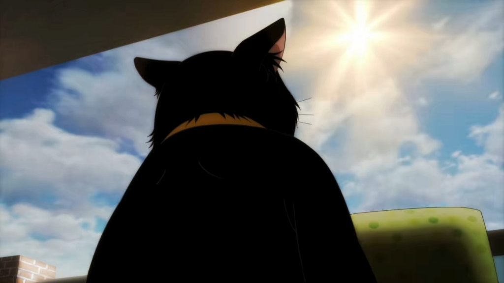 第2章:会做饭的猫,女主被自己的猫养胖了.