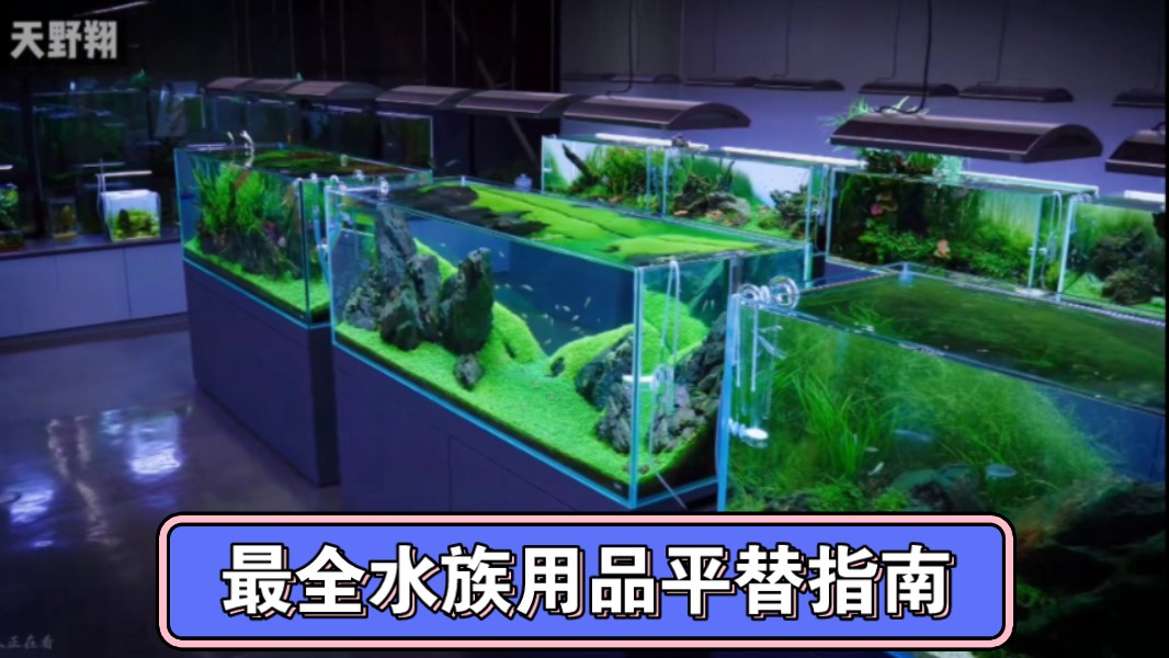 最全水族用品平替指南,帮你省下一套房哔哩哔哩bilibili