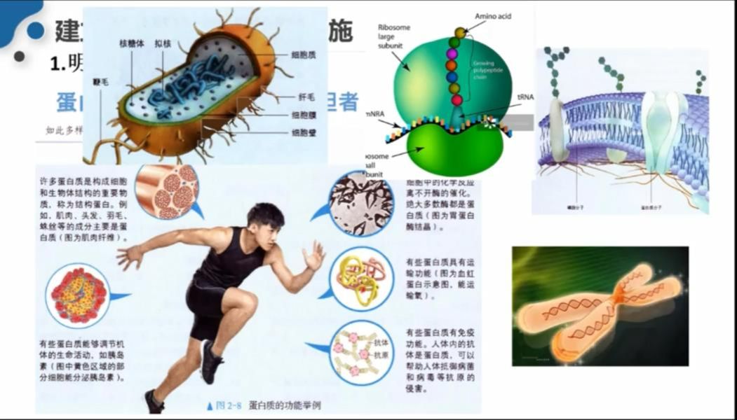 例谈生命观念的培养及其在解题中的应用哔哩哔哩bilibili