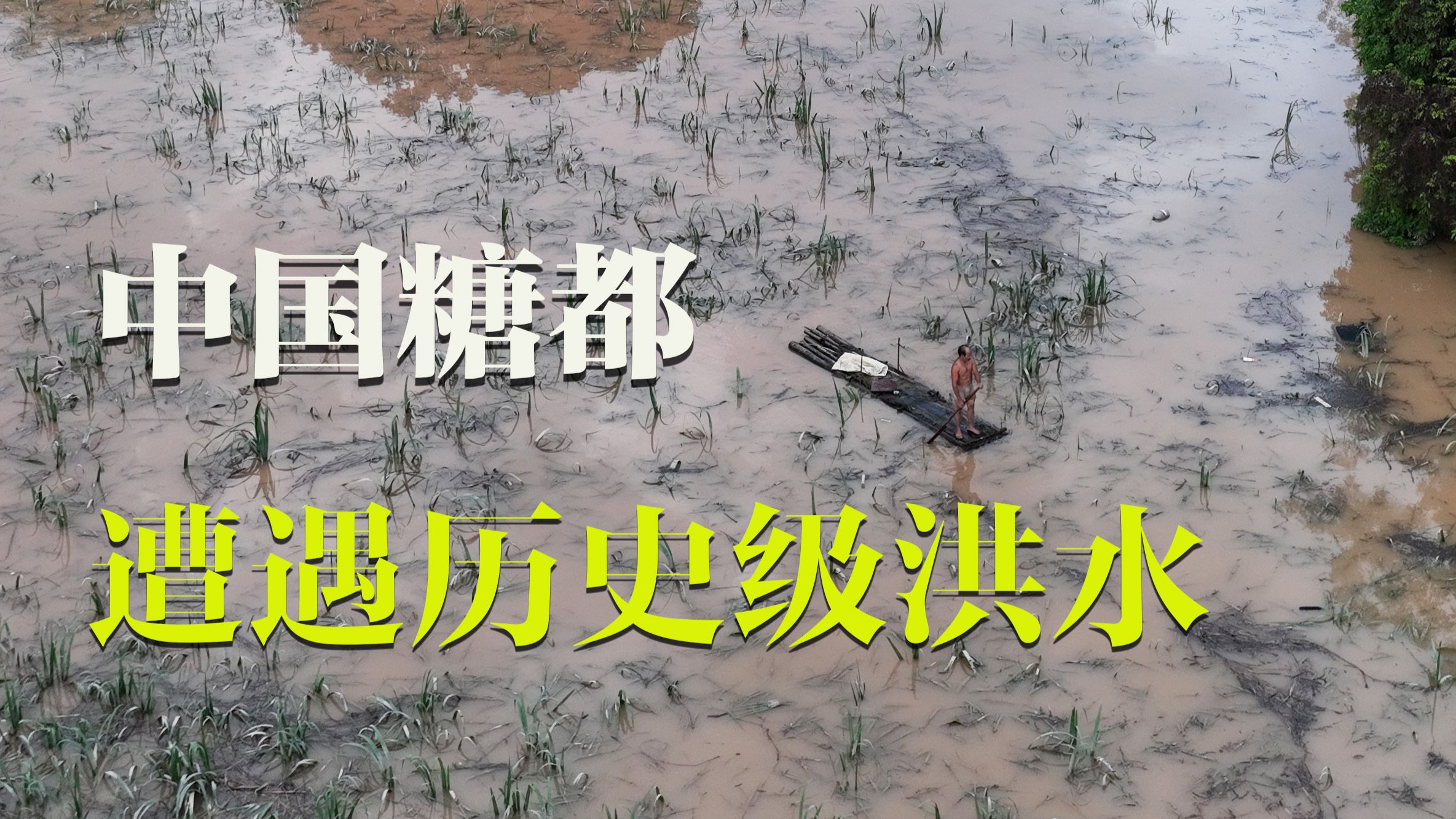 中国糖都，正在遭遇历史级洪水