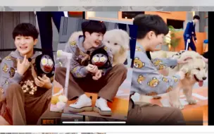 Download Video: ［周深］可可与大🐶大麦的互动  #周深# #开始推理吧#