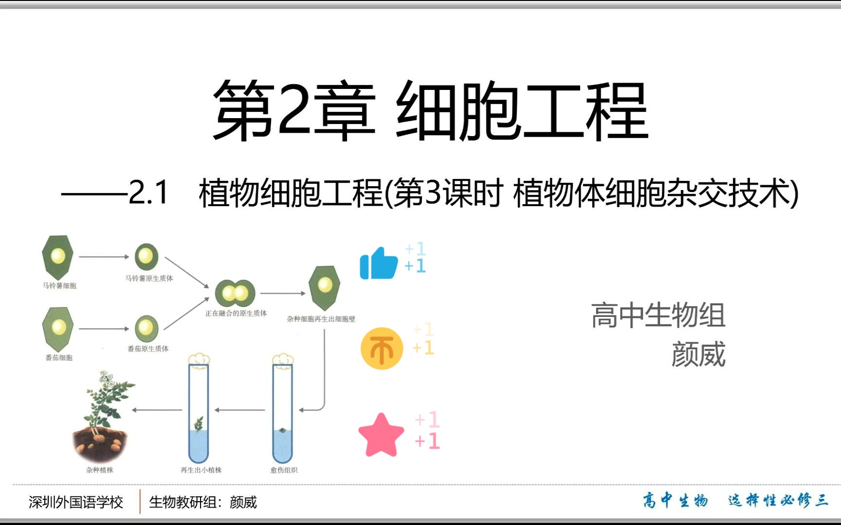 【高中生物选择性必修三】2.1.3植物细胞工程 第3课时 植物体细胞杂交技术哔哩哔哩bilibili