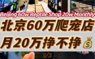 Download Video: 北京60万爬宠店 月20万挣不挣钱 第一集