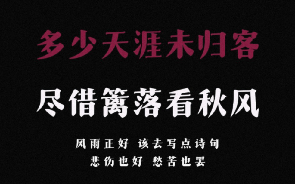 “多少天涯未归客,尽借篱落看秋风.” 风雨正好,该去写点诗句,悲伤也好,愁苦也罢哔哩哔哩bilibili