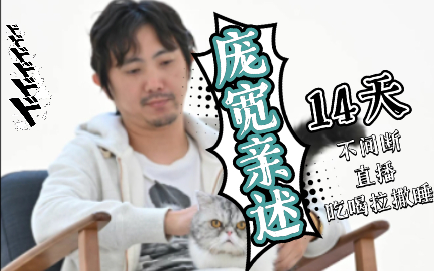 【大内密谈】庞宽亲述14天with相征&房方&朱砂(评论区惊现风暴兵老师本师which means他不仅空降到庞宽的展厅他还空降到了我的主页)哔哩哔哩bilibili