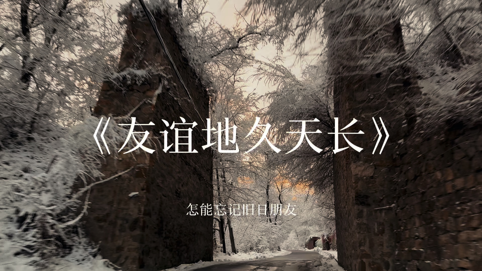 “本溪初雪”哔哩哔哩bilibili