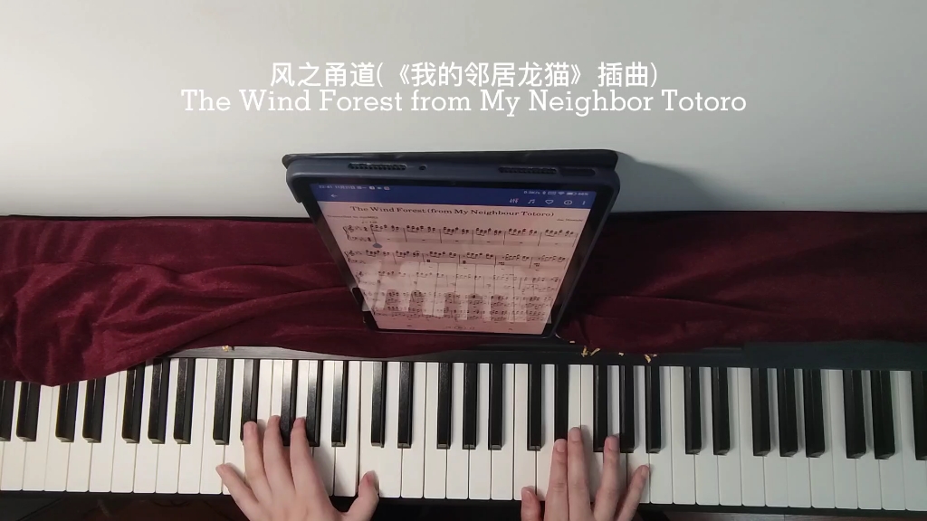 [图]久石让：风之甬道(《我的邻居龙猫》插曲) | The Wind Forest from 'My Neighbor Totoro'