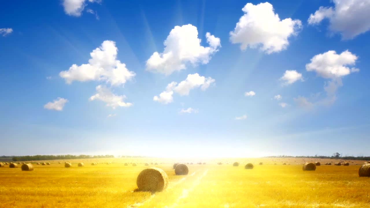 扒高踩低彭高阳