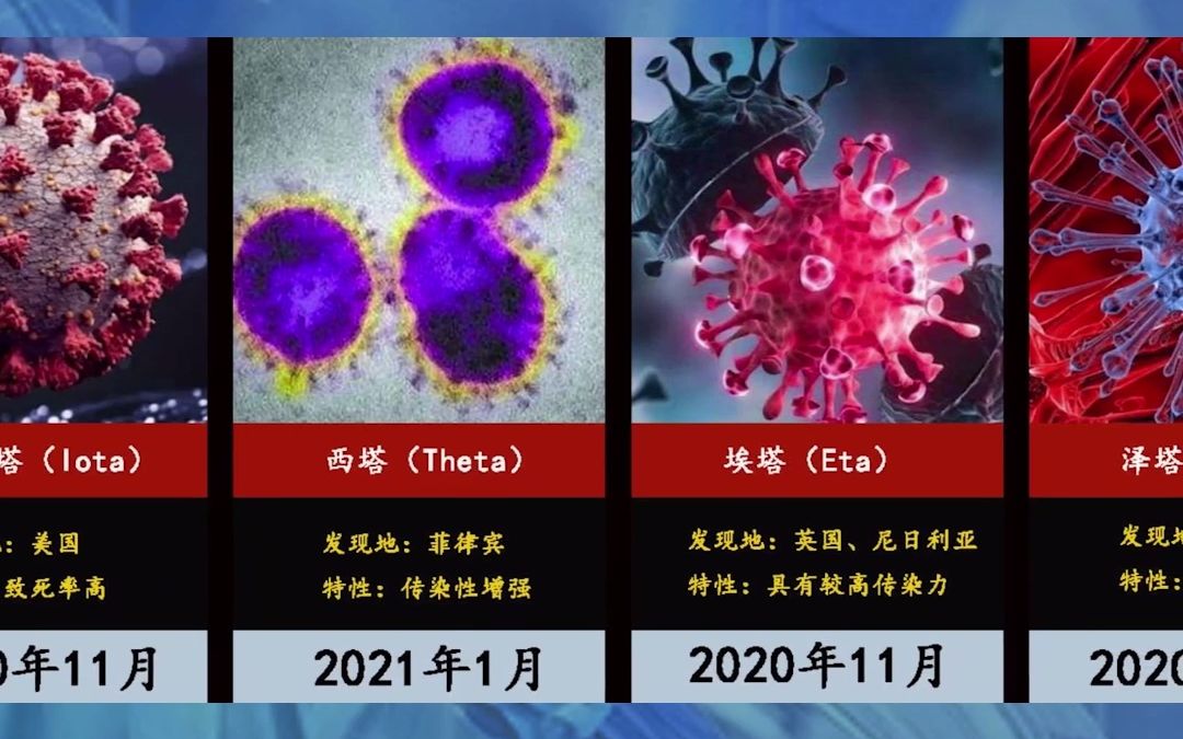 熊胆中的特殊物质——熊去氧胆酸能够预防新冠感染?哔哩哔哩bilibili