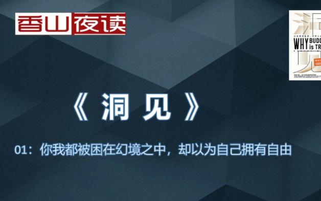 《洞见》01:你我都被困在幻境之中,却以为自己拥有自由哔哩哔哩bilibili