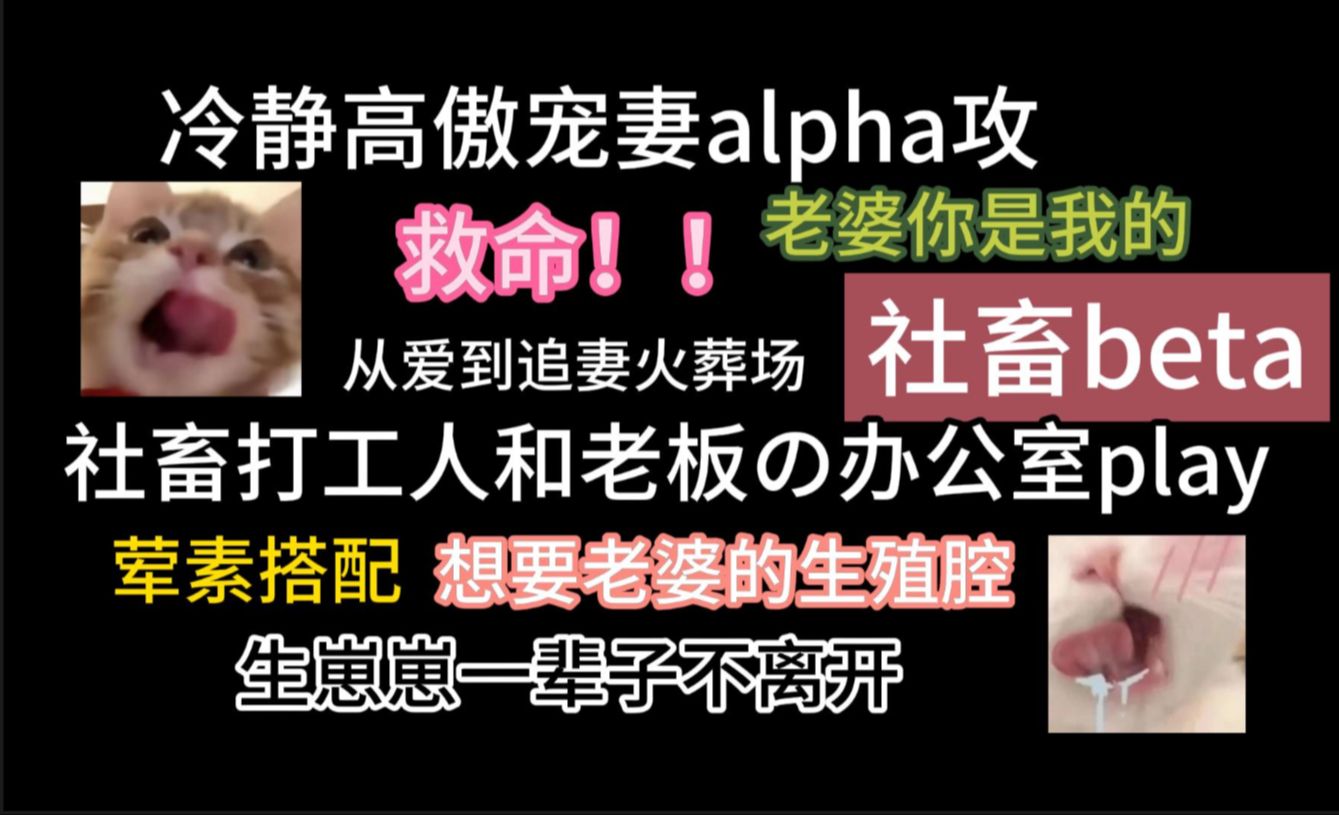 【海棠推文】社畜beta和有信息素问题的alphaの办公室爱情,从p友到追妻火葬场一步到位,喜欢狗血的老婆进!!哔哩哔哩bilibili