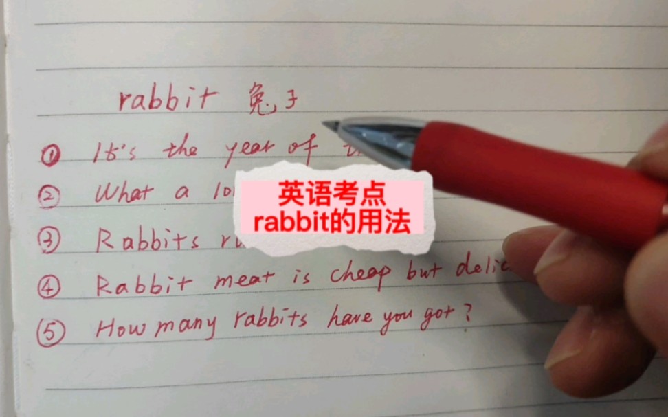 英语考点rabbit的用法哔哩哔哩bilibili