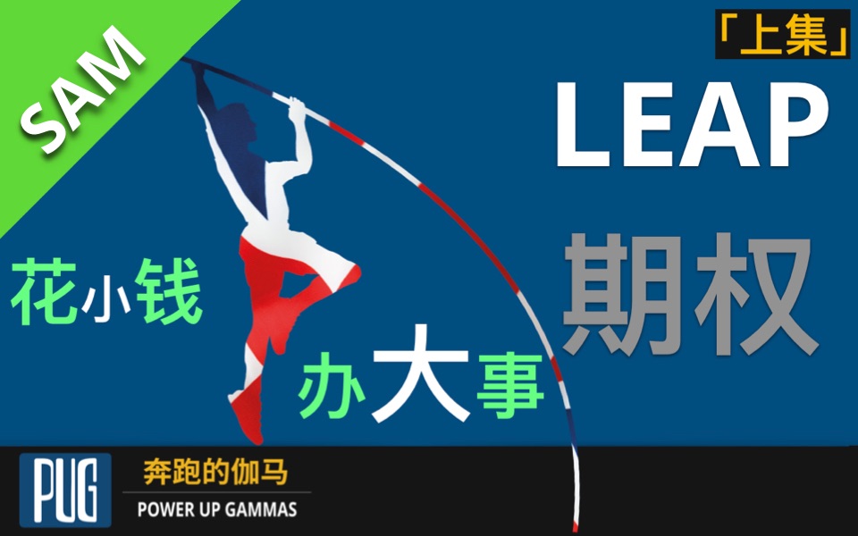 期权投资|如何缓解投资时的资金压力,教你使用LEAP期权策略(上)|以特斯拉为例哔哩哔哩bilibili