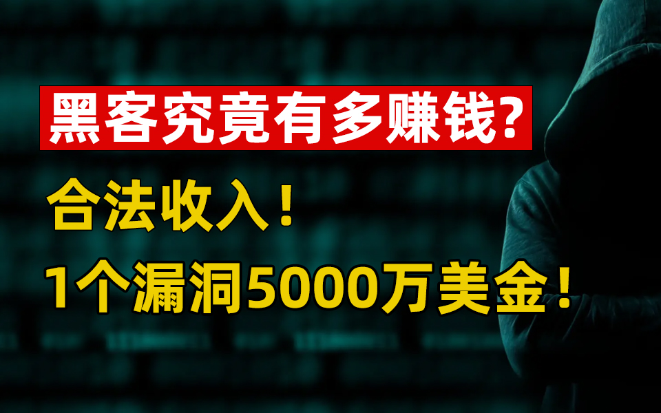 黑客挖1个漏洞能挥霍35年,大厂1个月30+漏洞!黑客究竟多赚钱?【内附黑客从入门到入狱教程】哔哩哔哩bilibili