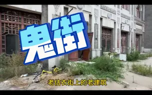 Download Video: 天津估衣街变成了鬼街，在街上走看见两只黄鼠狼