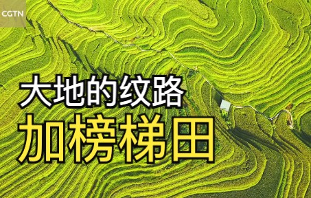 [图]中国乡村风景可以洗眼睛?一起来看金秋时节的加榜梯田