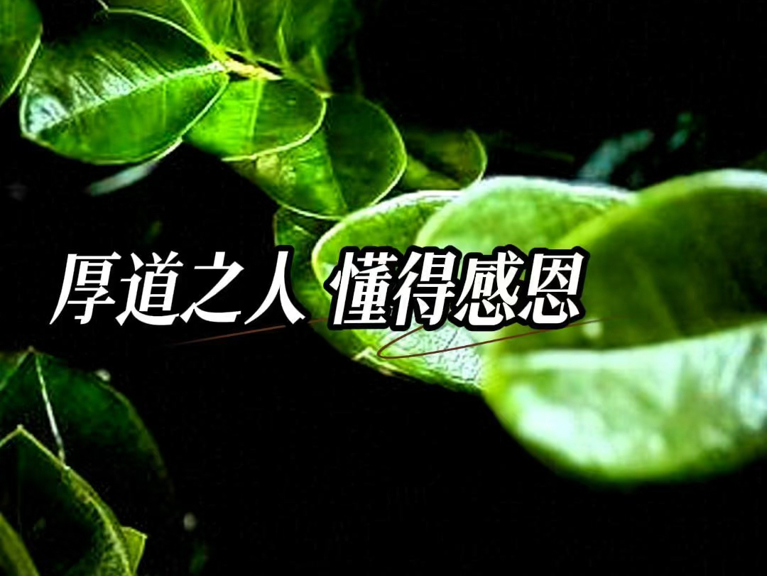 内心有阳光,平凡日子也闪亮,装满感恩,幸福…做个厚道之人,好福气自会