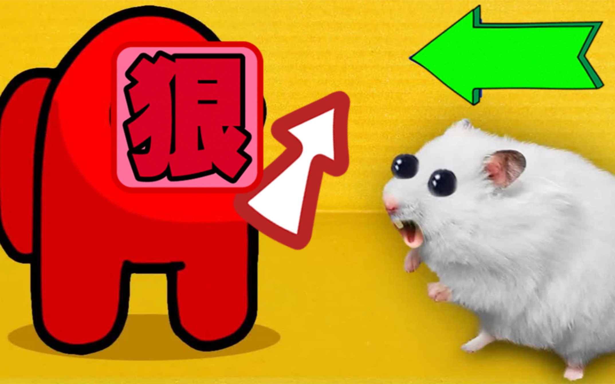 仓鼠大冒险:仓鼠挑战神秘三角形迷宫,开启了冒险之路