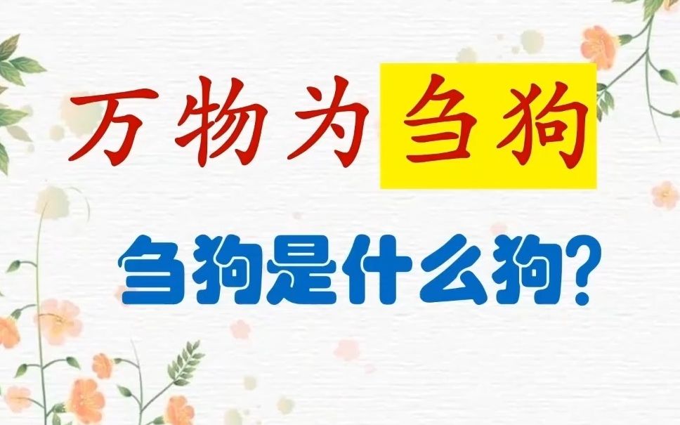 “天地不仁以万物为刍狗”是啥意思?“刍狗”到底是什么狗哔哩哔哩bilibili