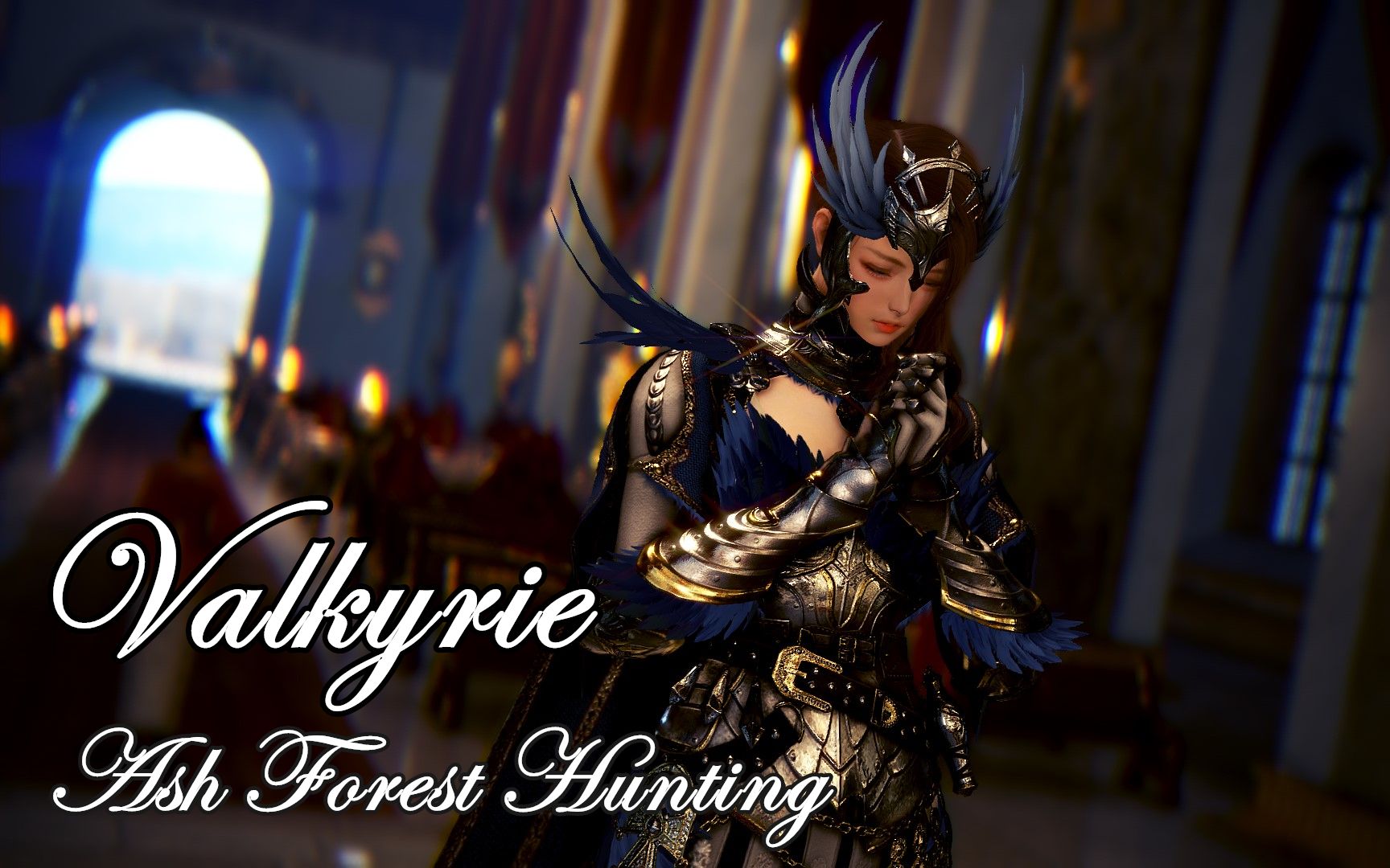 黑色沙漠女武神灰色森林3000杂物1h