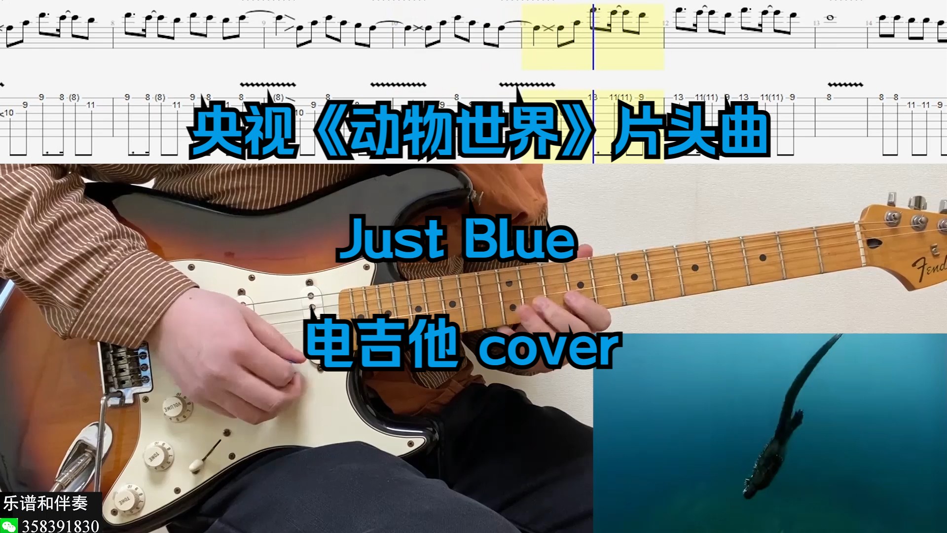 [图]央视《动物世界》片头曲 Just Blue 电吉他 cover