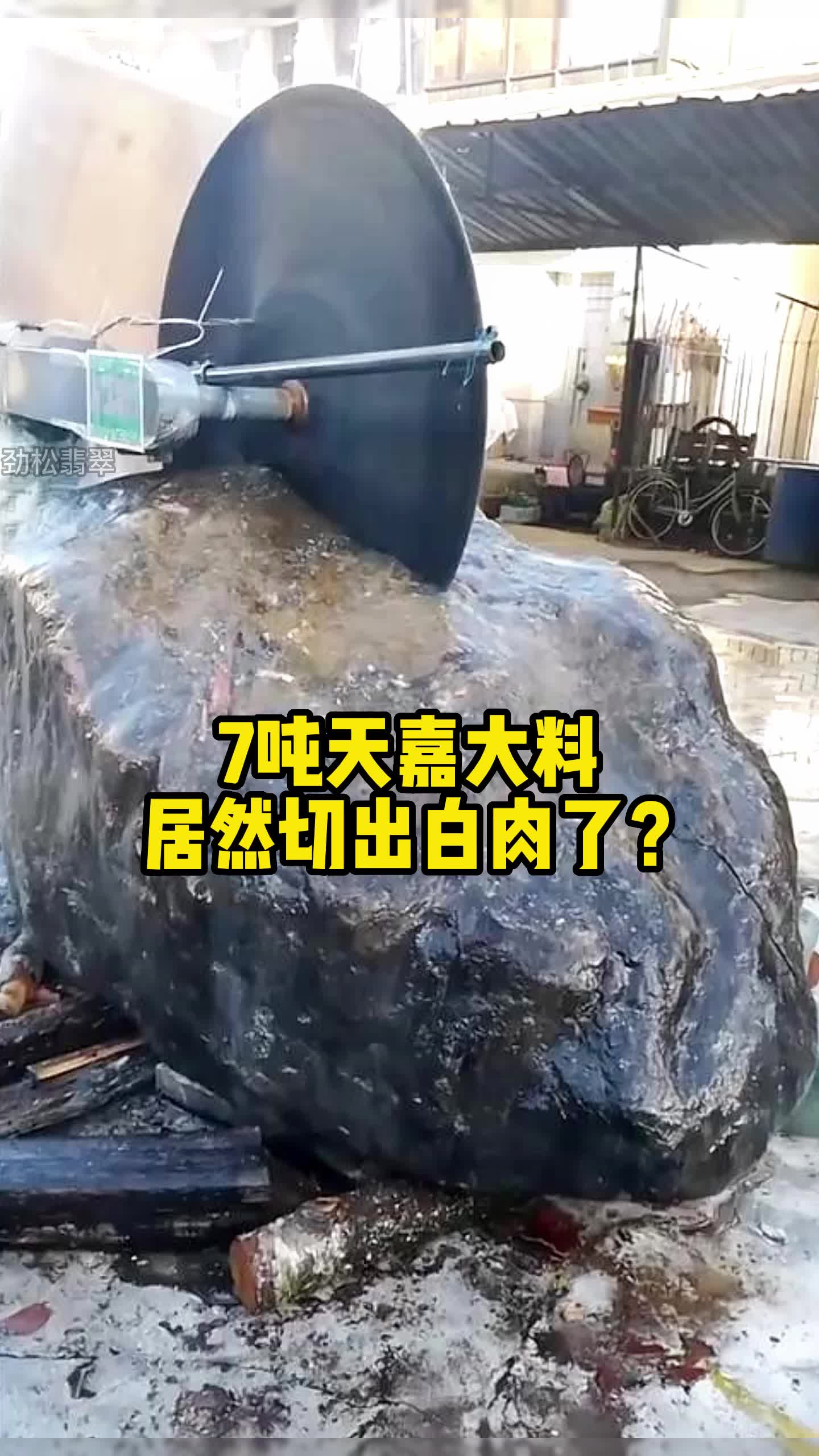 7吨天嘉大料,居然切出白肉了?哔哩哔哩bilibili