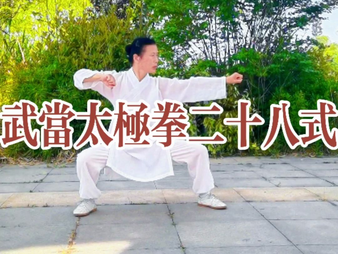 武当太极拳二十八式～让你的世界慢慢安静下来