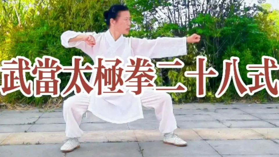 八十八式太极拳_哔哩哔哩_bilibili