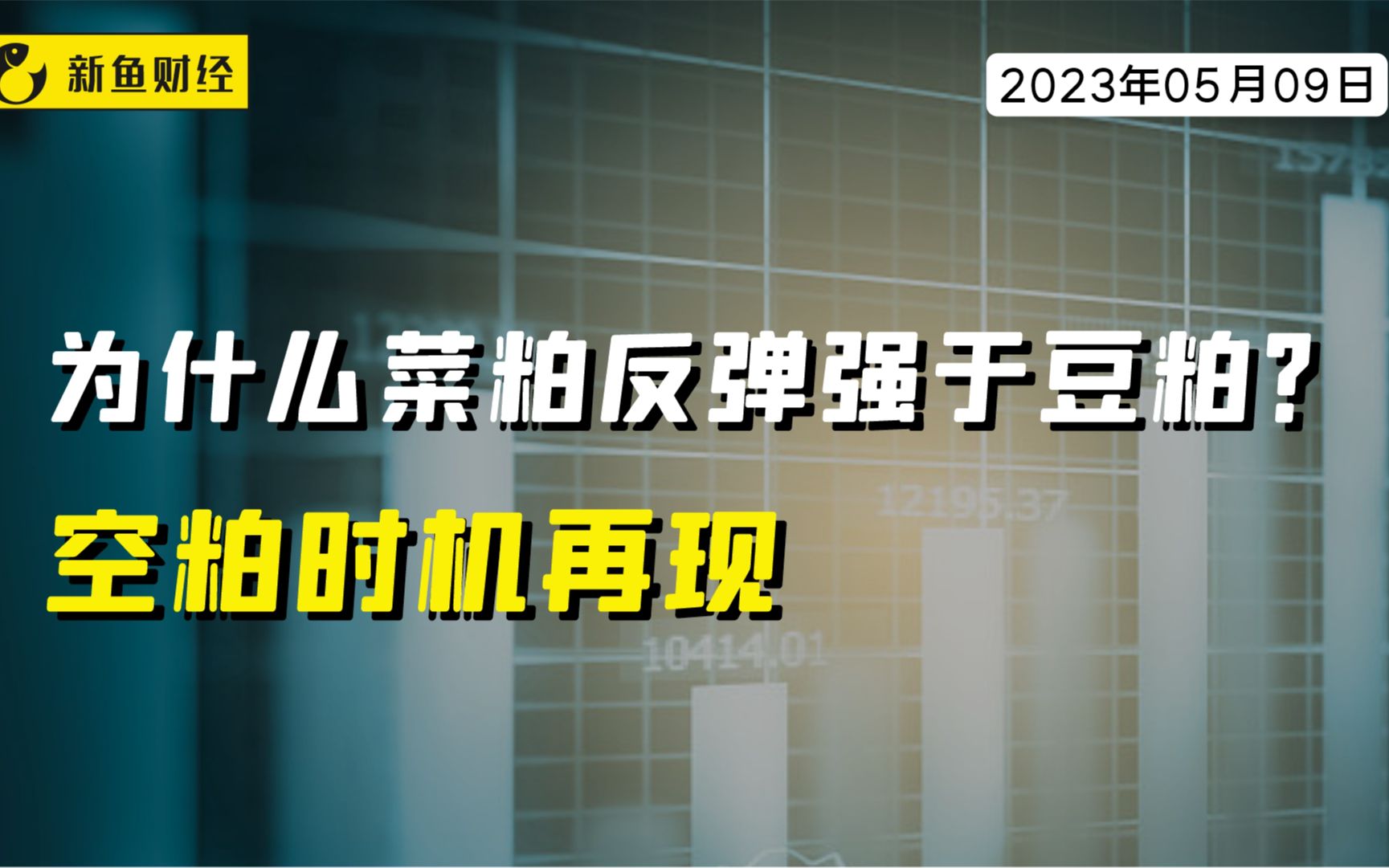 为什么菜粕反弹强于豆粕?空粕时机再现哔哩哔哩bilibili