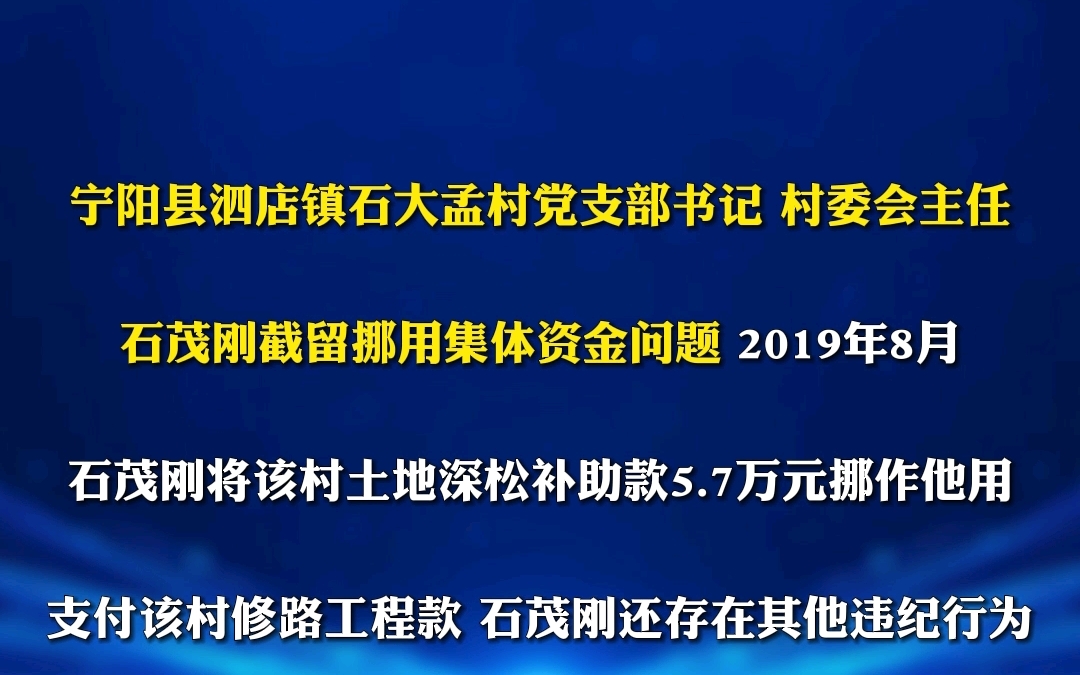 中共泰安市纪委通报6起乡村振兴领域不正之风和腐败问题哔哩哔哩bilibili