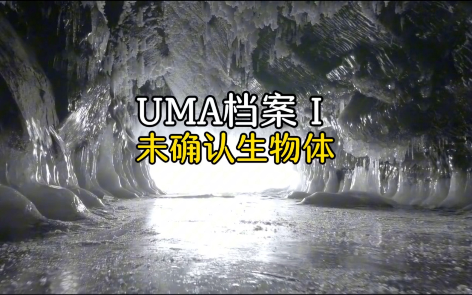 在uma未知生物档案中,竟然隐藏着这么多未确定生物,太可怕