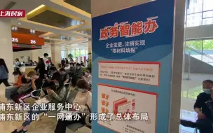 Descargar video: 改革步履不止 见证浦东发展奇迹