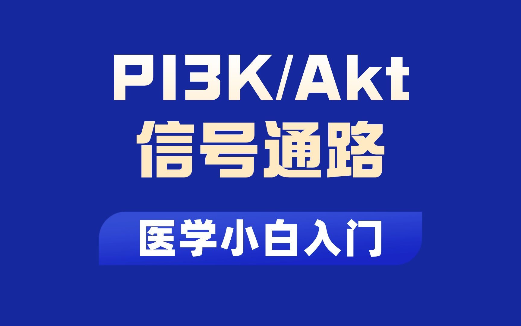 [图]PI3K/AKT信号通路系统讲解