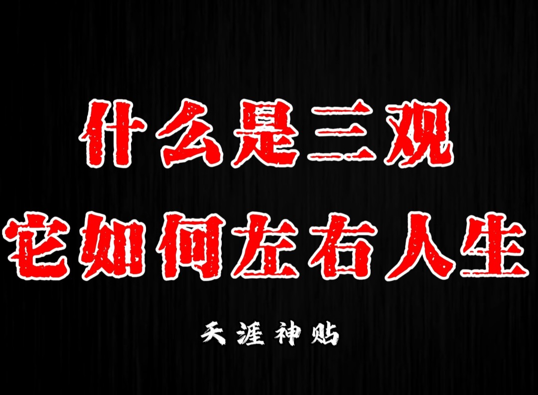 人品决定你的下限,三观决定你的上限,那什么是三观呢?哔哩哔哩bilibili