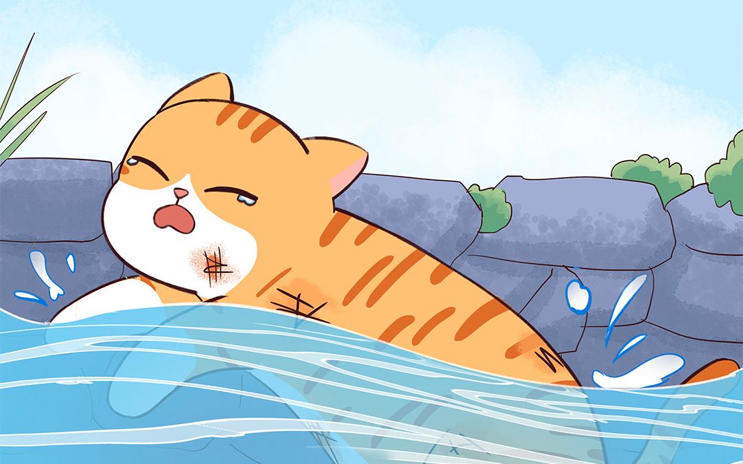 流浪猫:"为什么要踢我落水?为什么要伤害我?