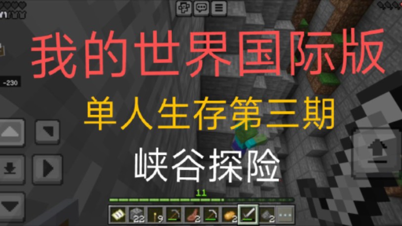 我的世界国际版单人生存第三期 峡谷探险